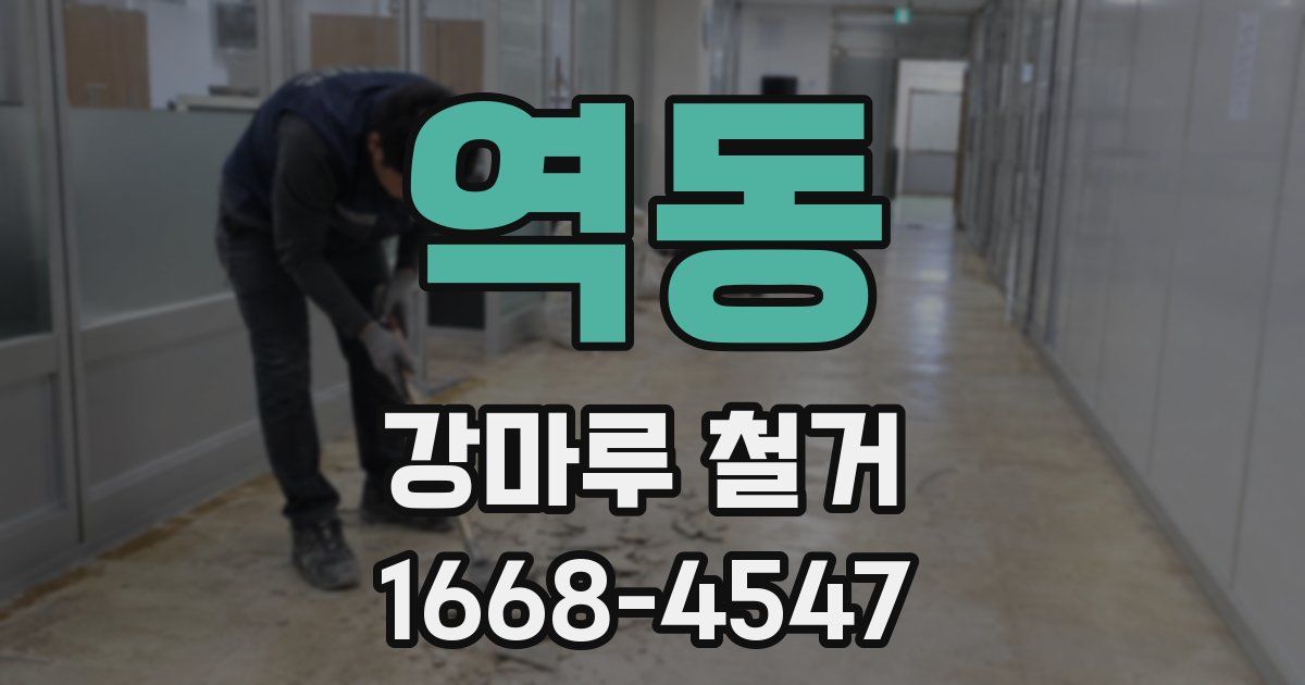 역동 강마루 철거