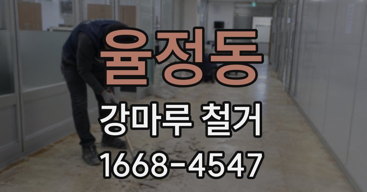 율정동 강마루 철거
