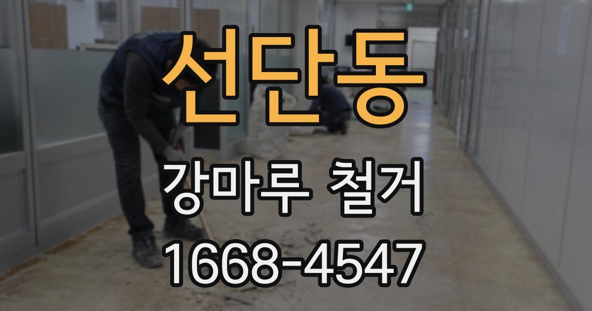 선단동 강마루 철거