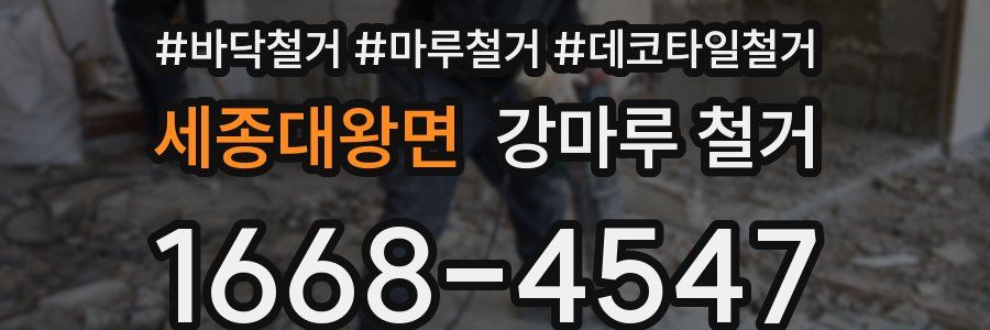 세종대왕면 강마루 철거