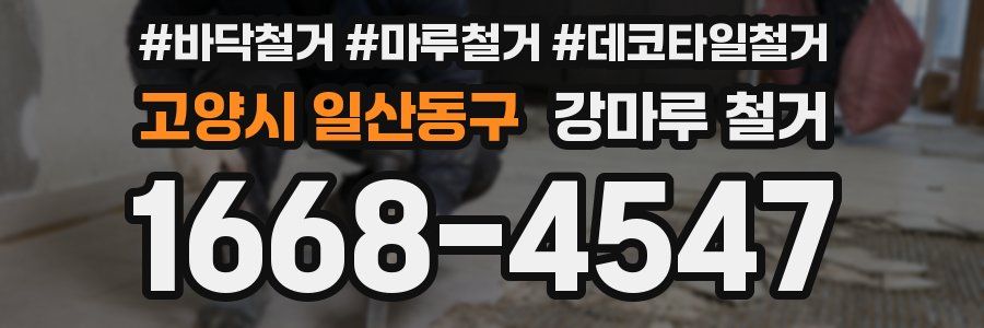 고양시 일산동구 강마루 철거