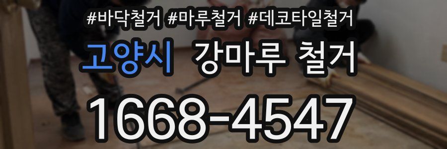 고양시 강마루 철거