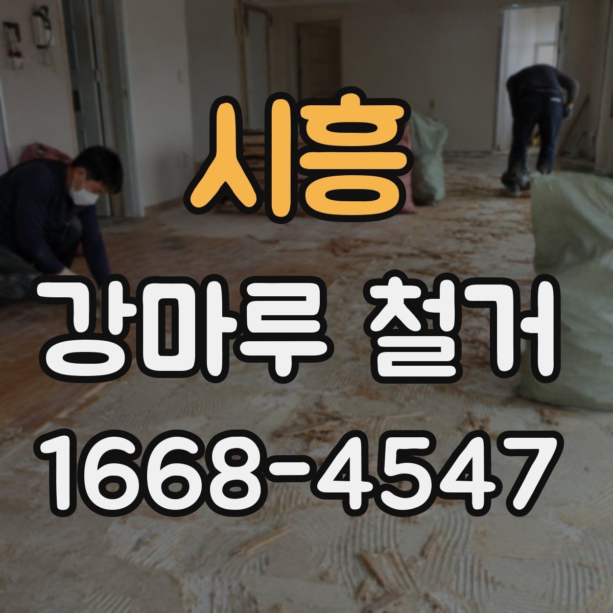 시흥 강마루 철거 후 곰팡이와 습기 점검하기