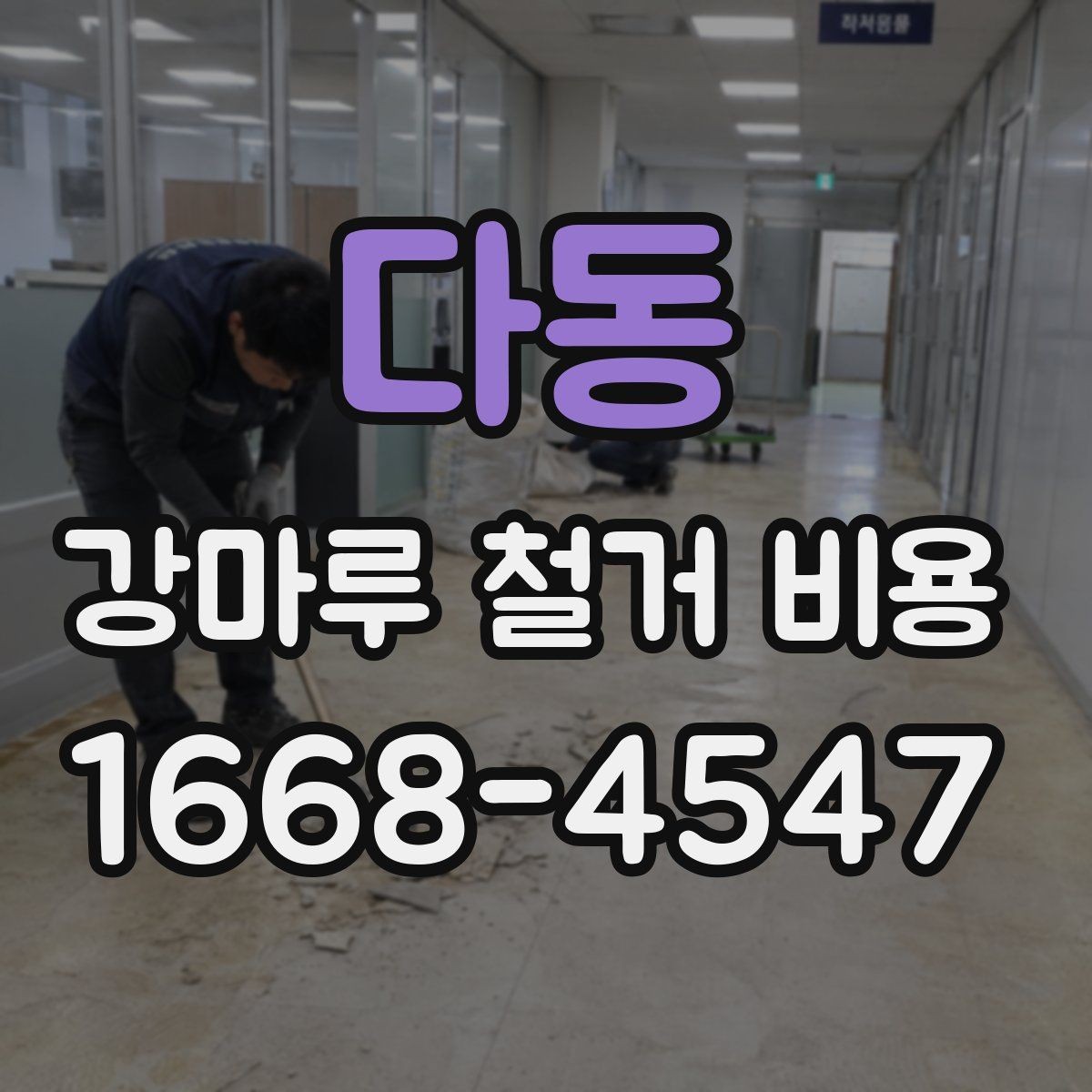 다동 강마루 철거 비용 비교 전 현장 조건 정리