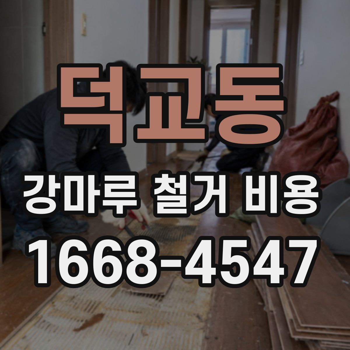 덕교동 강마루 철거 비용