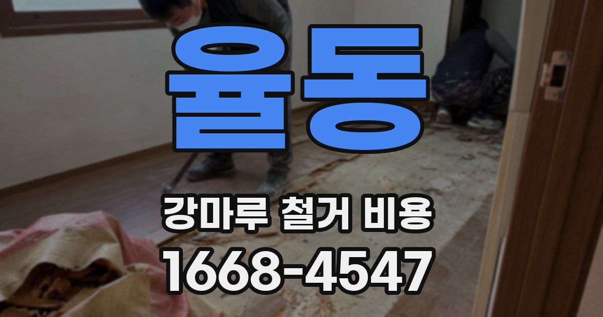 율동 강마루 철거 비용