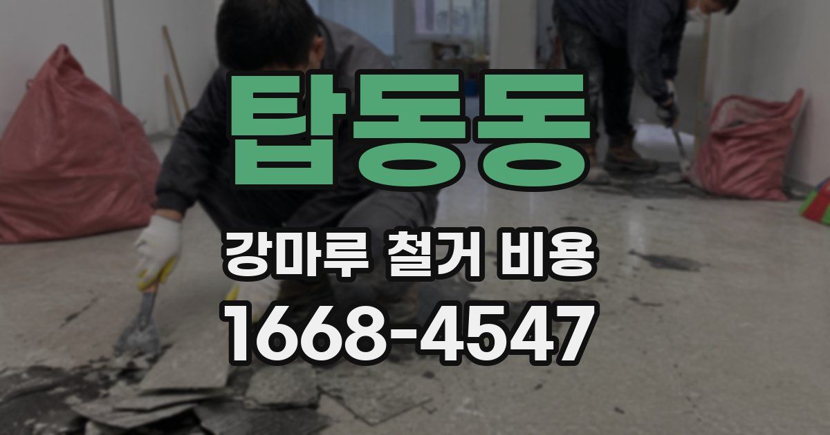 탑동동 강마루 철거 비용