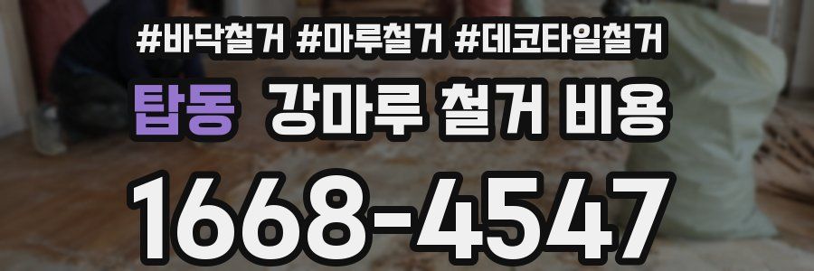 탑동 강마루 철거 비용