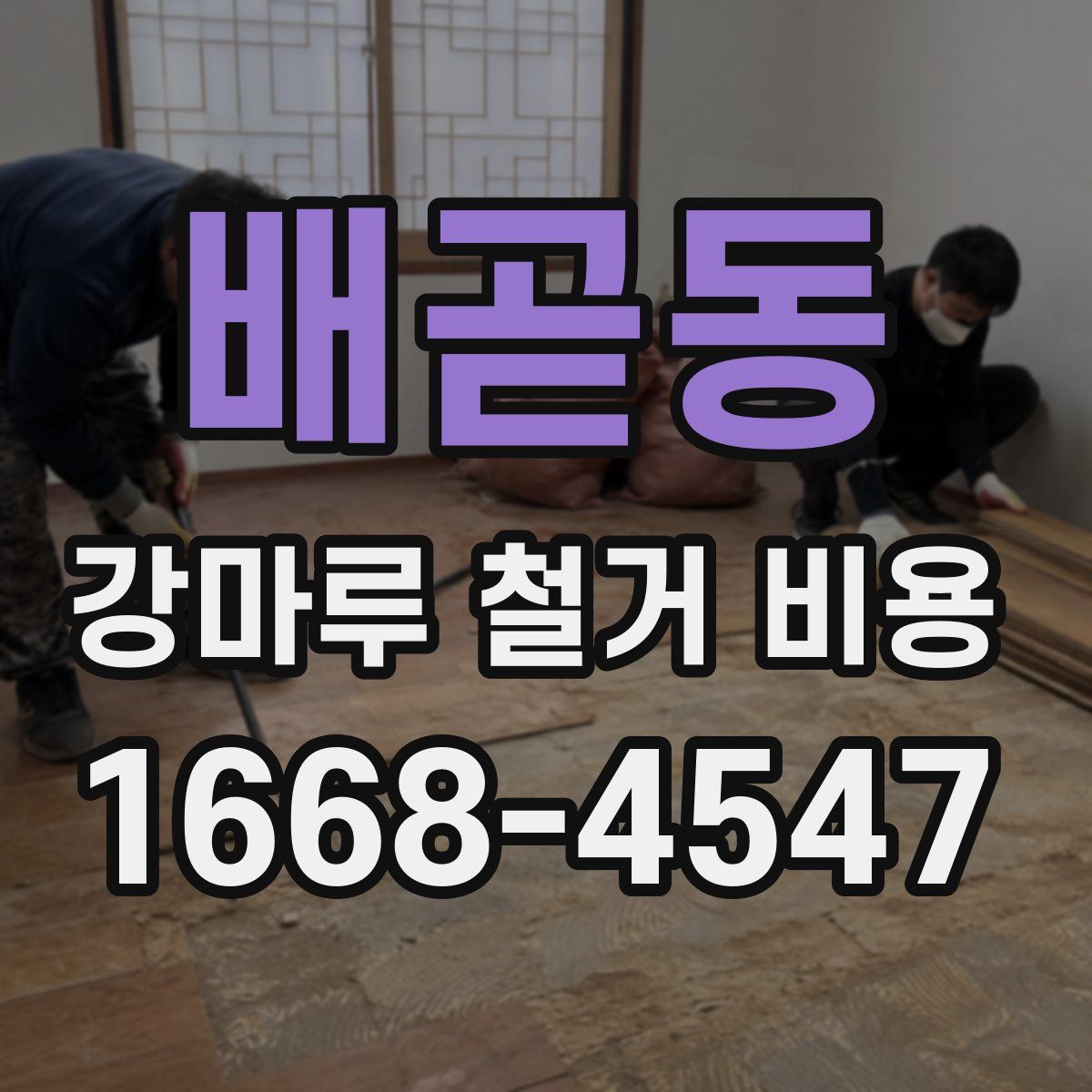 배곧동 강마루 철거 비용