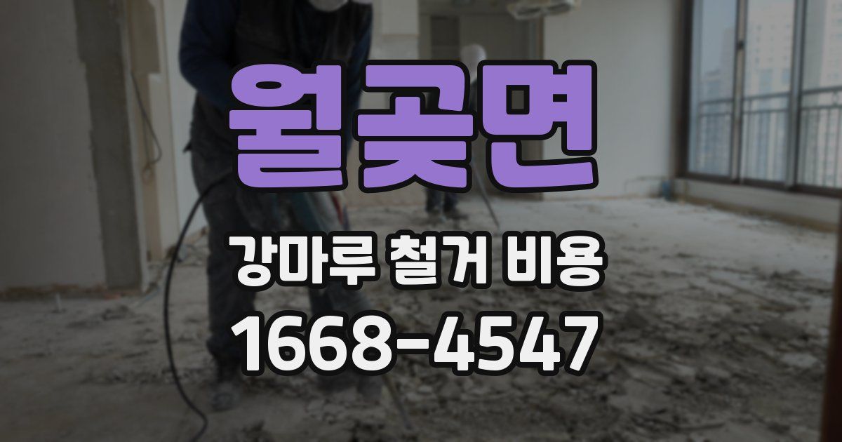 월곶면 강마루 철거 비용