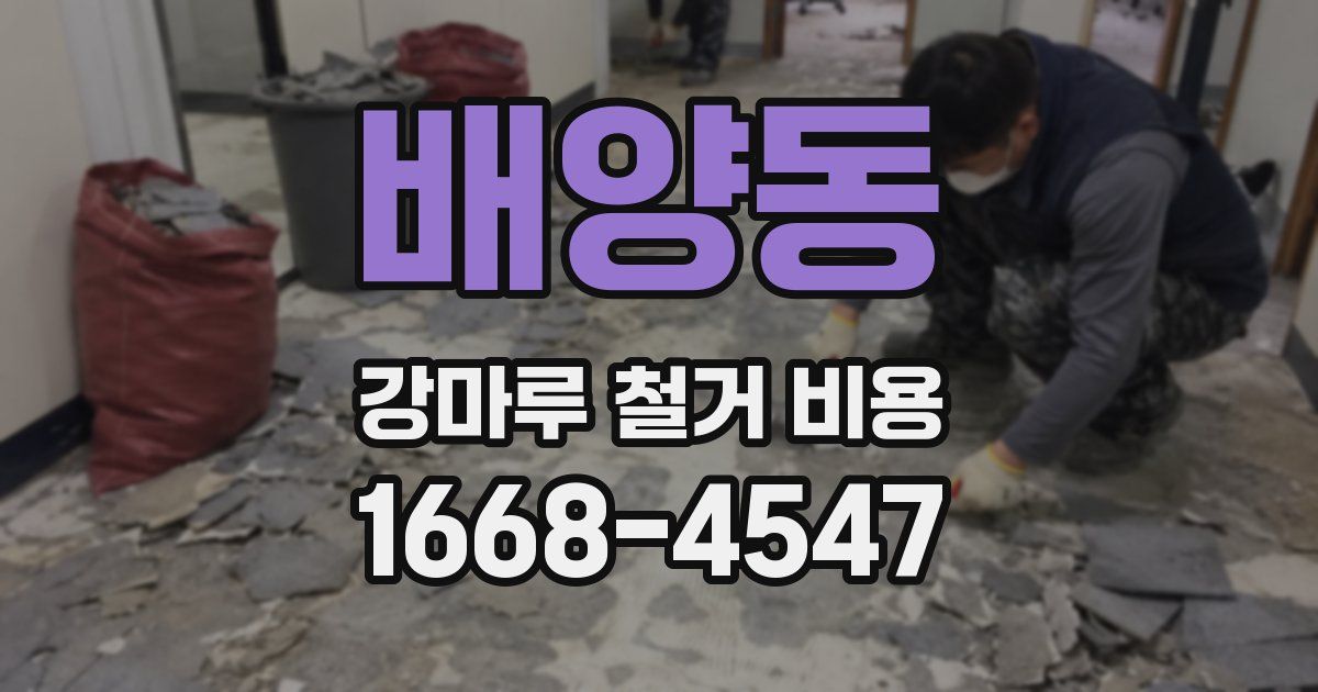 배양동 강마루 철거 비용