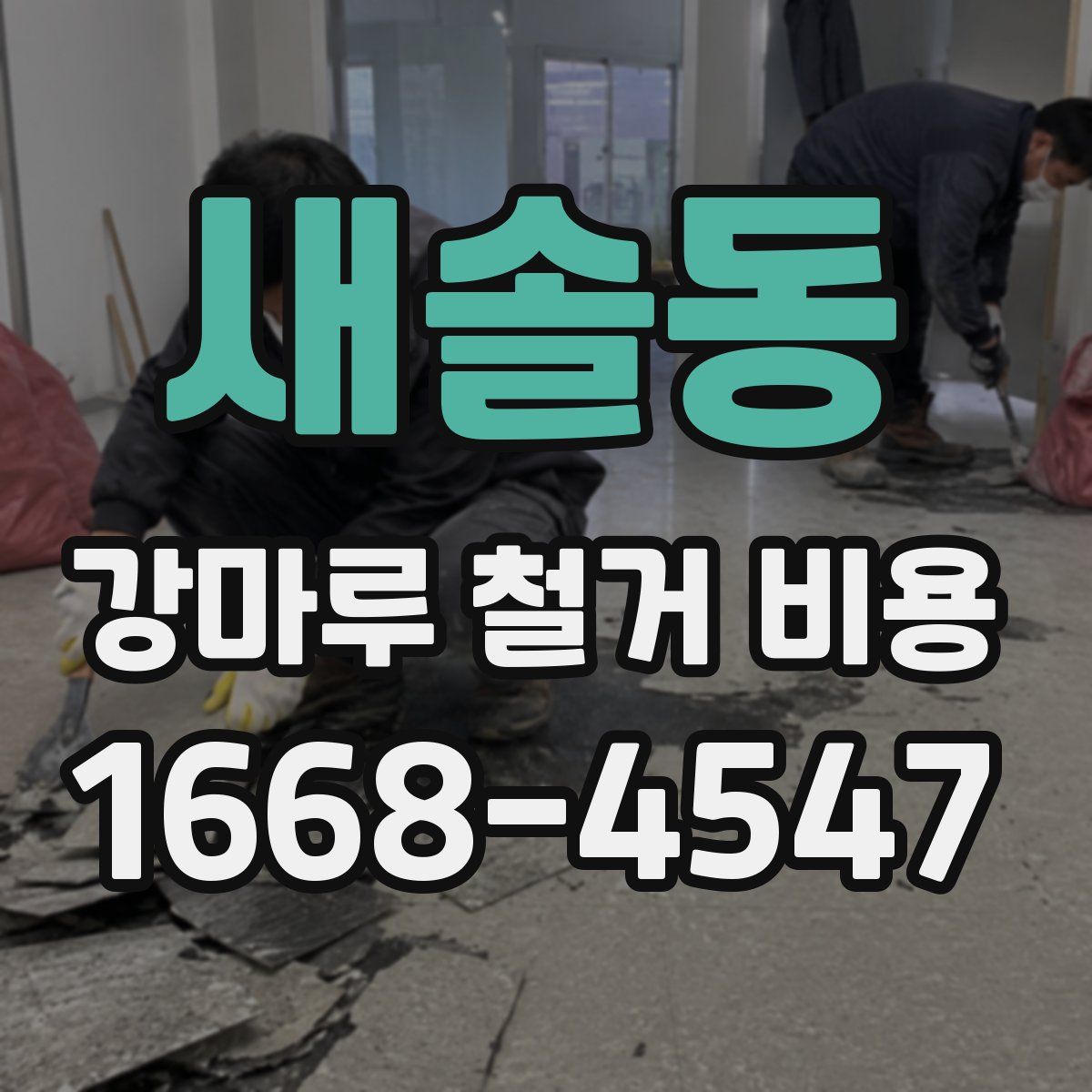 새솔동 강마루 철거 비용