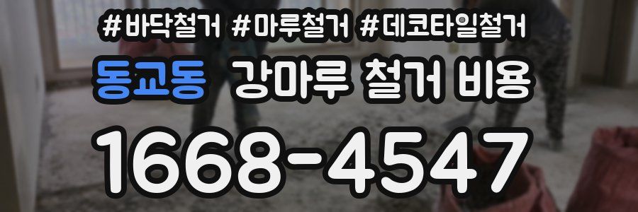 동교동 강마루 철거 비용
