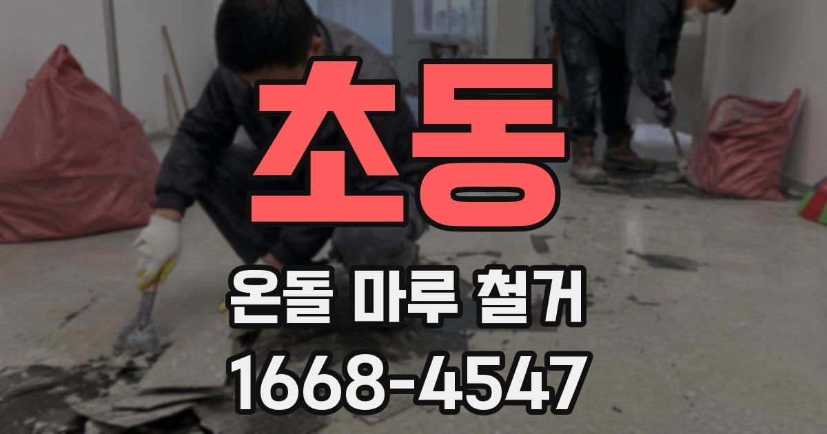 초동 온돌 마루 철거