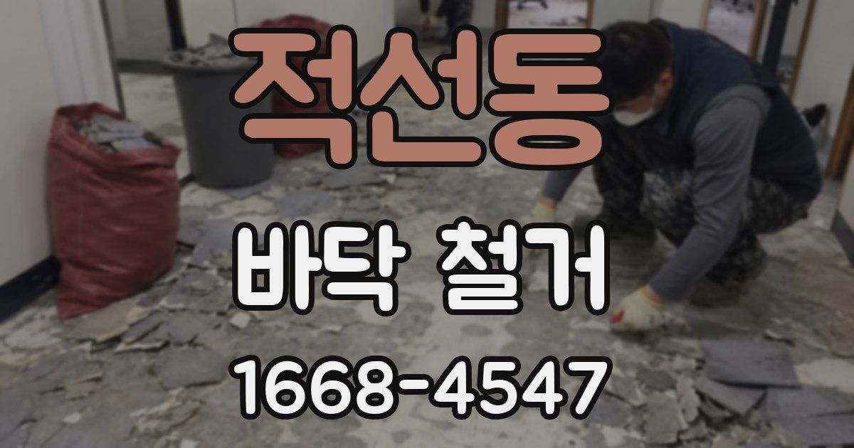 적선동 바닥 철거