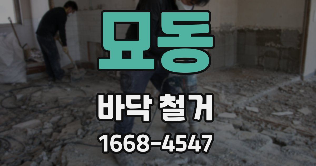 묘동 바닥 철거