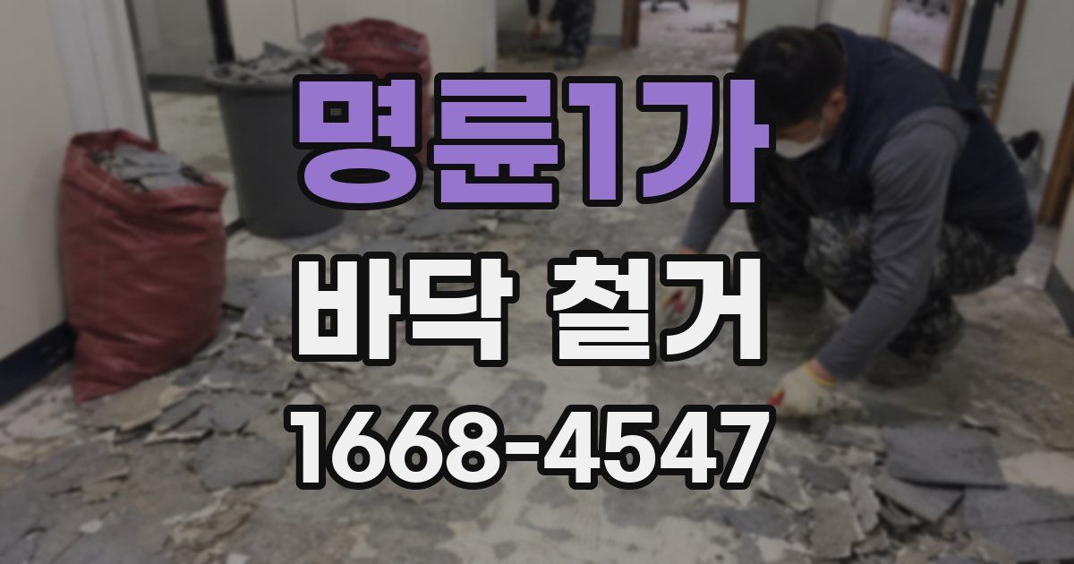 명륜1가 바닥 철거
