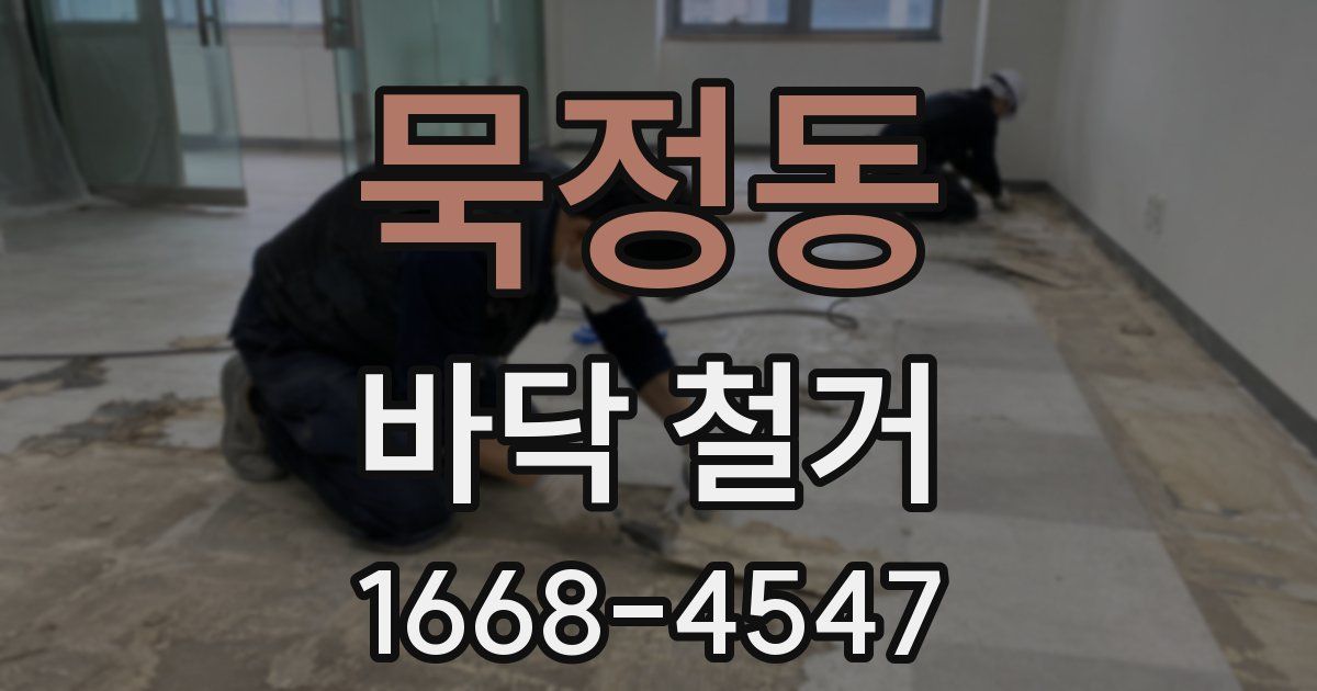 묵정동 바닥 철거