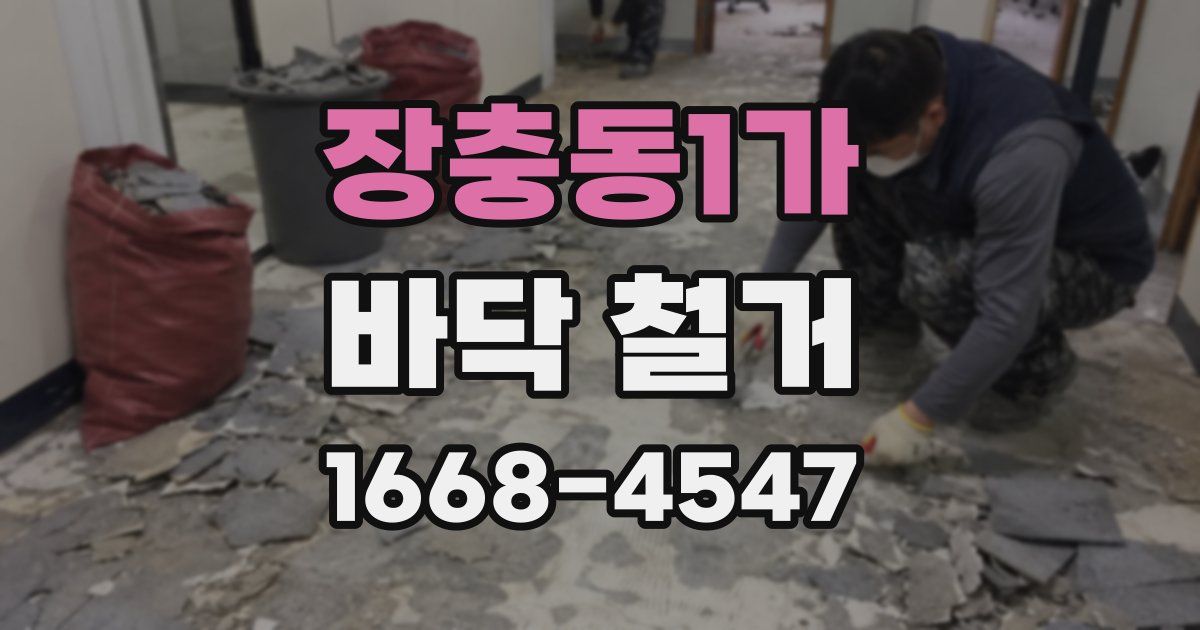 장충동1가 바닥 철거