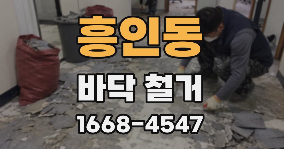 흥인동 바닥 철거