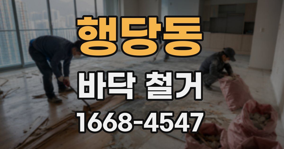 행당동 바닥 철거