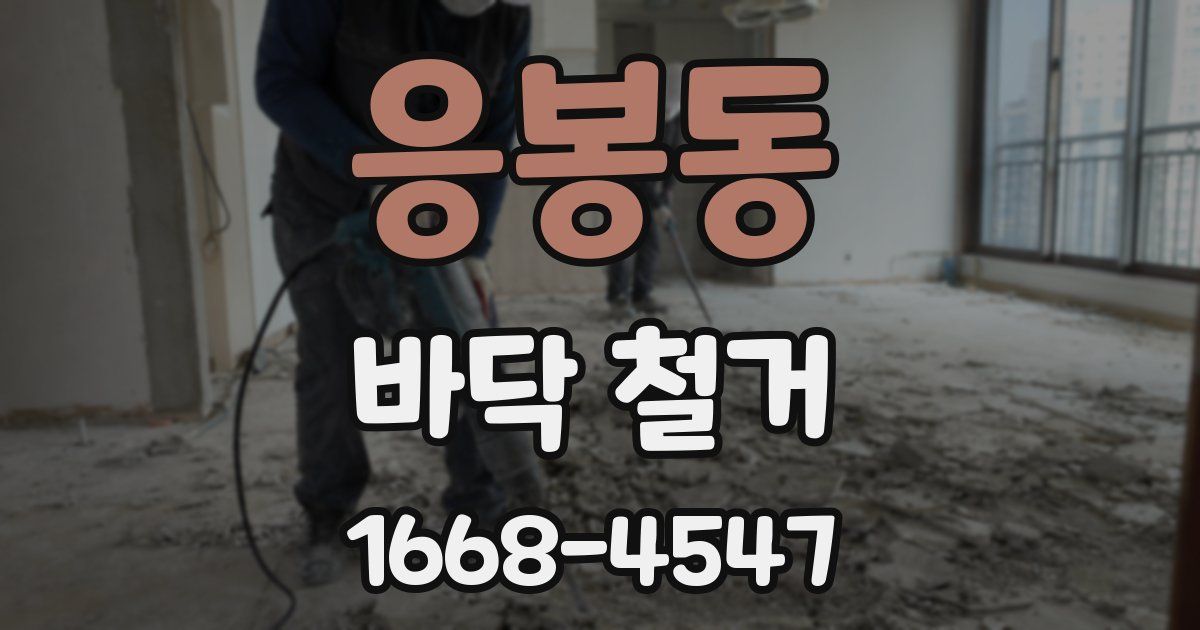 응봉동 바닥 철거