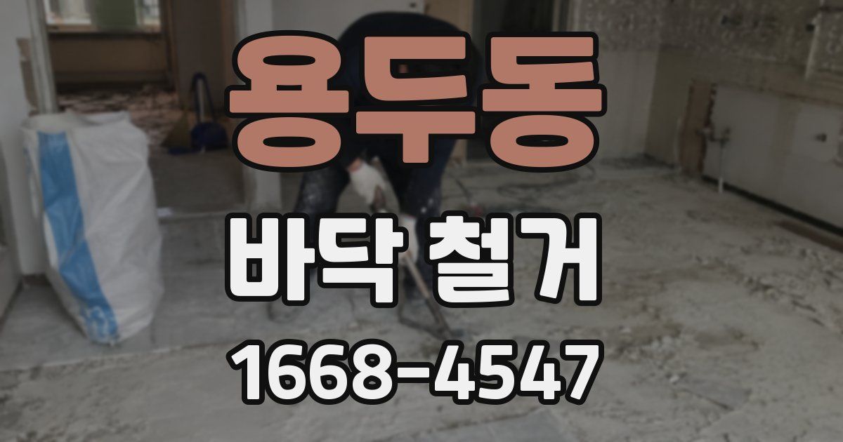 용두동 바닥 철거
