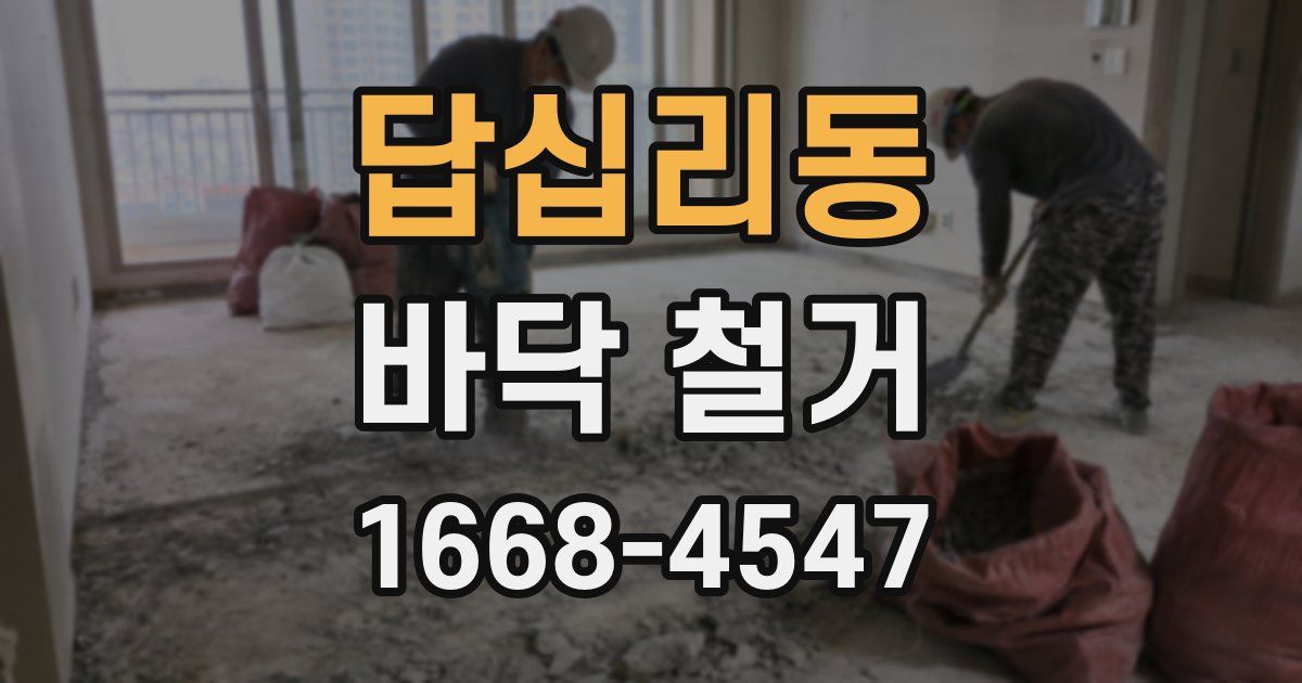 답십리동 바닥 철거
