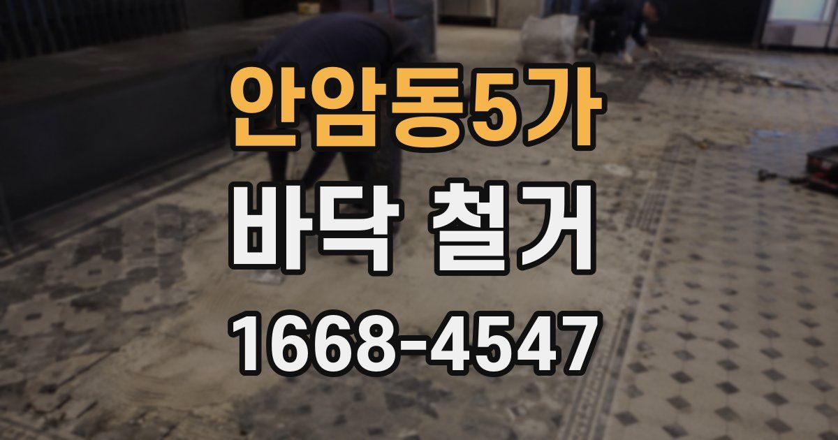 안암동5가 바닥 철거