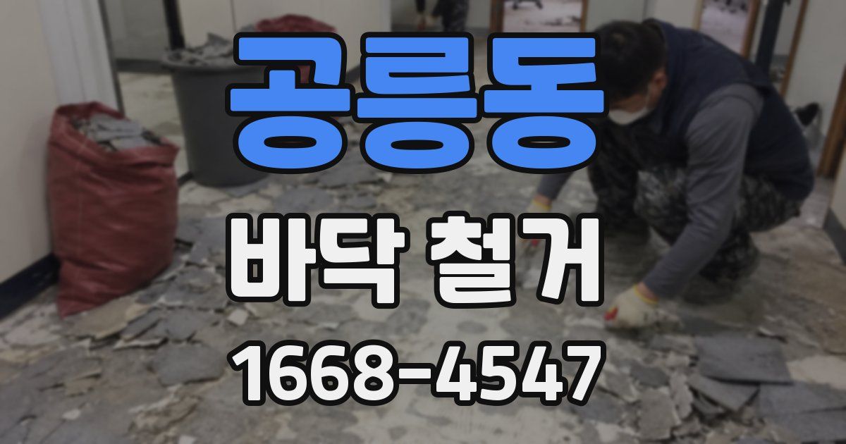 공릉동 바닥 철거