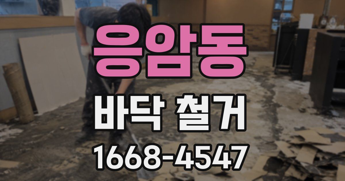 응암동 바닥 철거