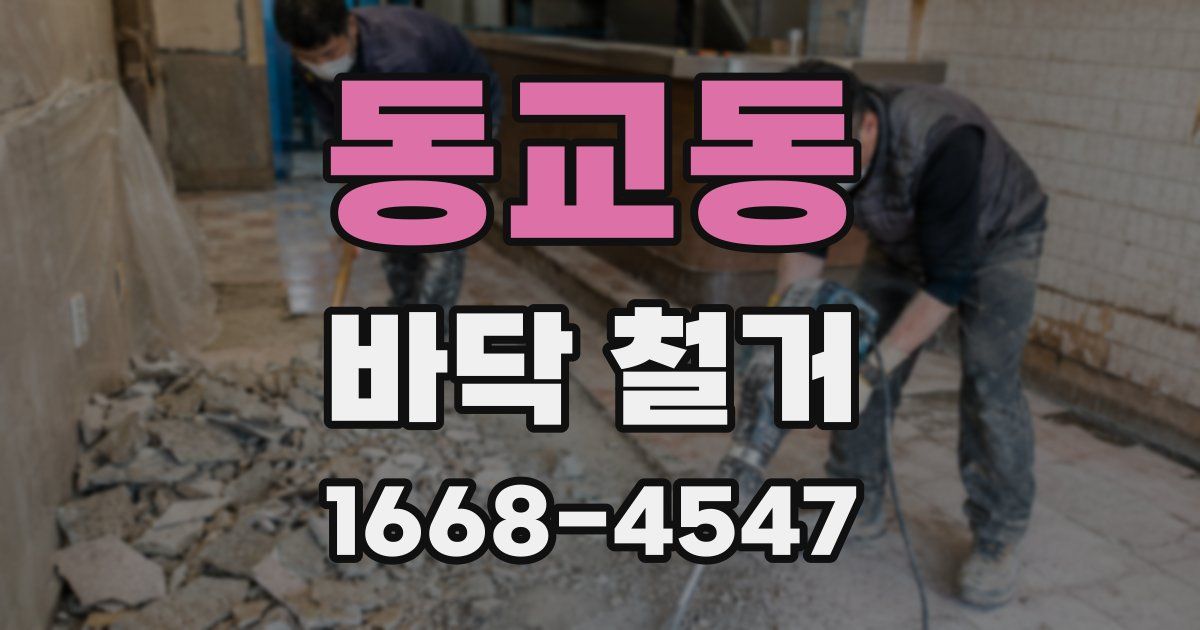 동교동 바닥 철거