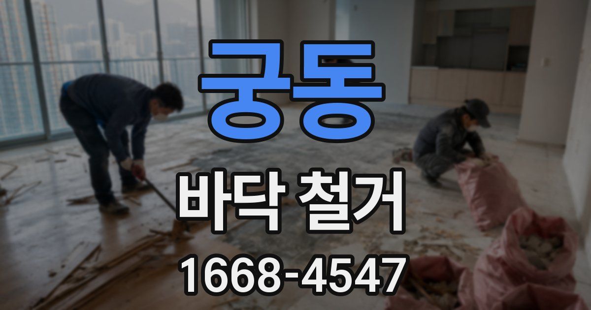 궁동 바닥 철거
