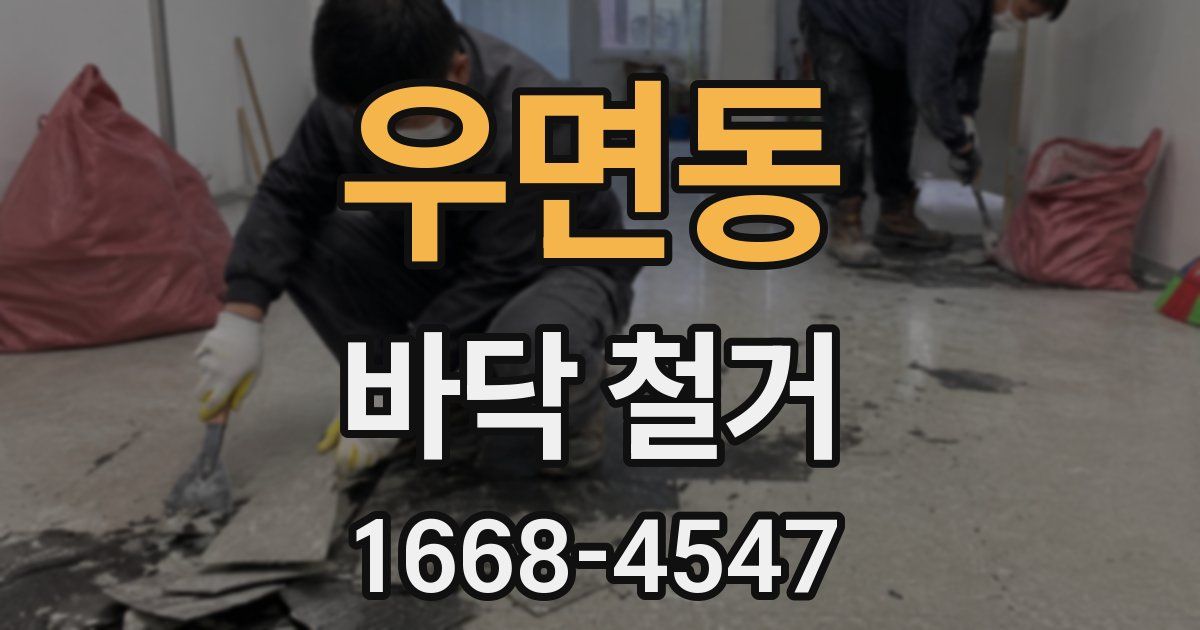 우면동 바닥 철거
