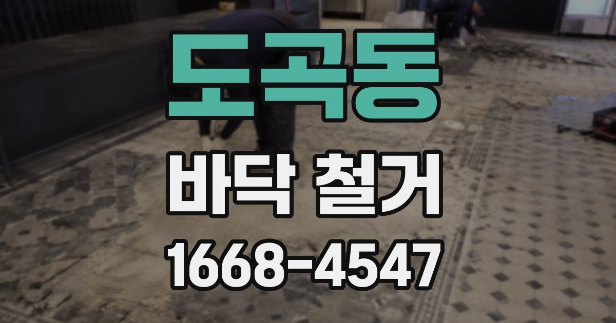 도곡동 바닥 철거