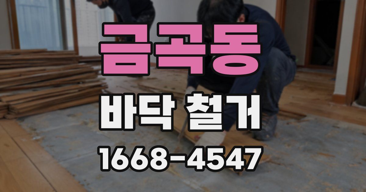 금곡동 바닥 철거
