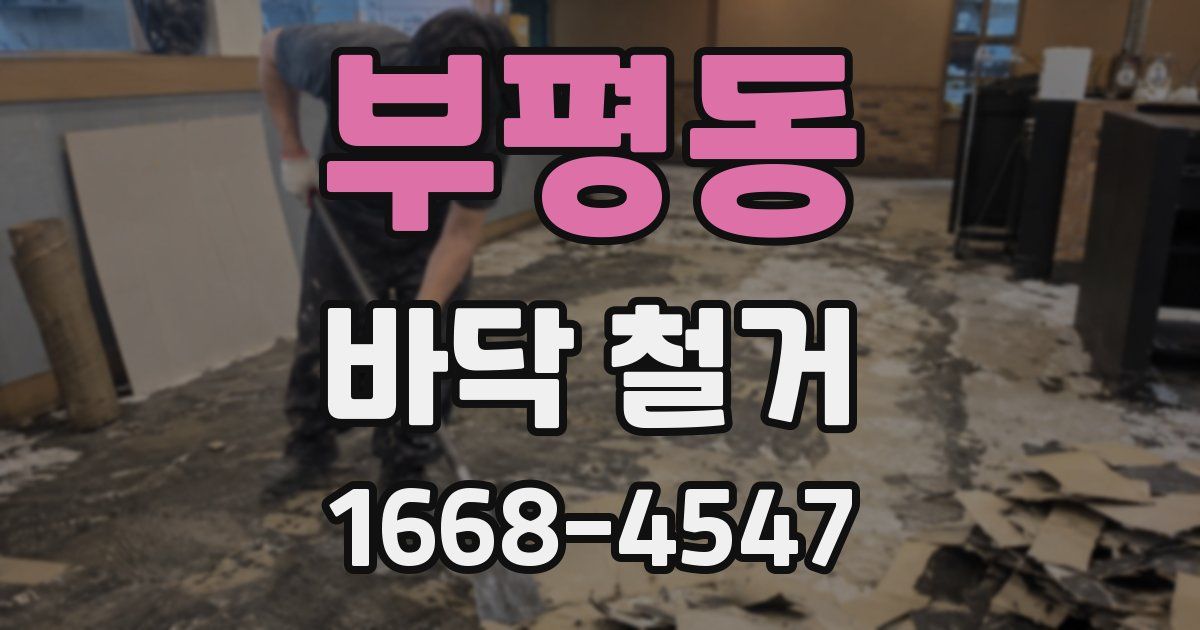 부평동 바닥 철거