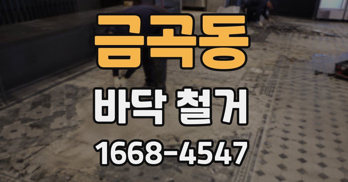 금곡동 바닥 철거