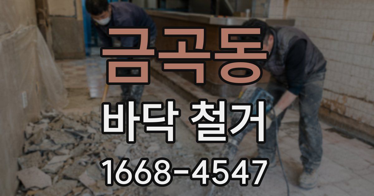 금곡동 바닥 철거