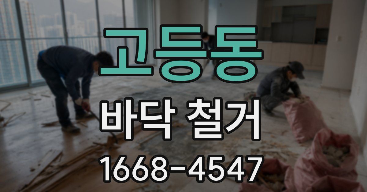 고등동 바닥 철거