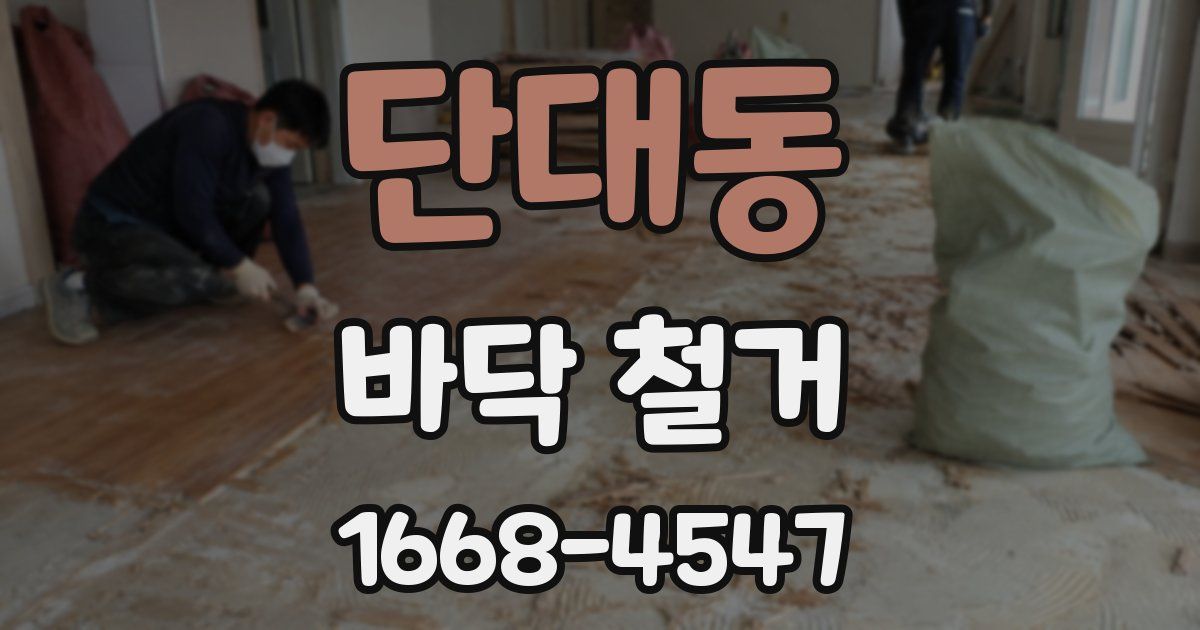 단대동 바닥 철거
