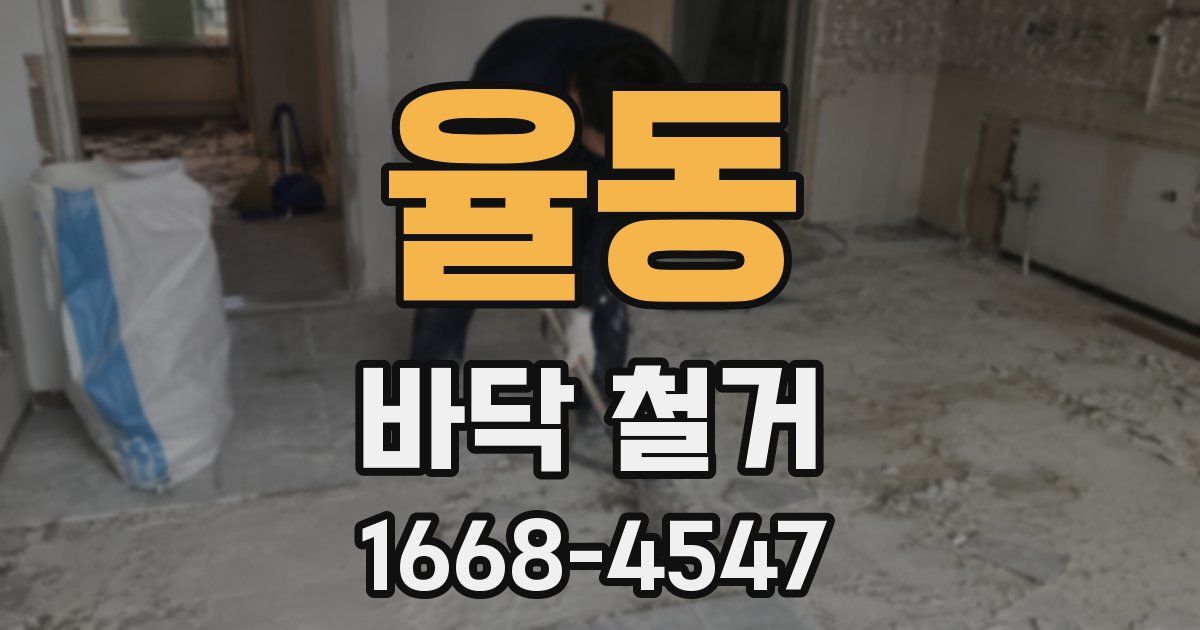 율동 바닥 철거