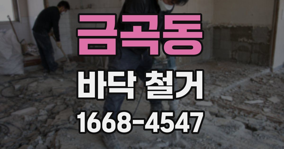 금곡동 바닥 철거