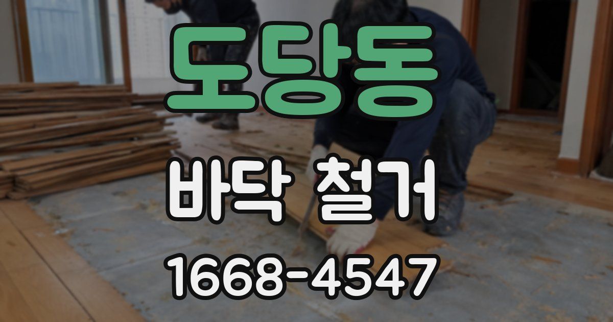 도당동 바닥 철거