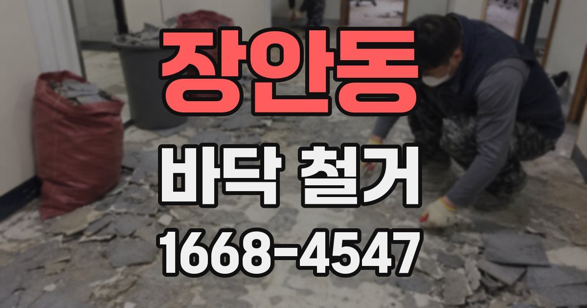 장안동 바닥 철거