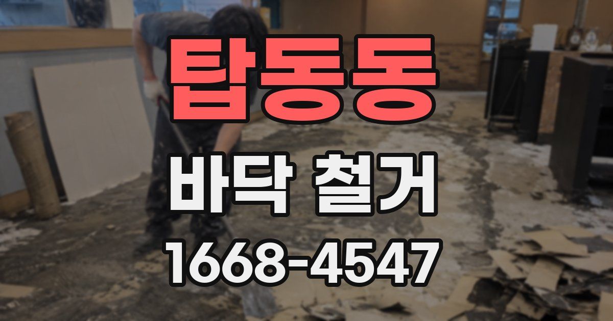 탑동동 바닥 철거
