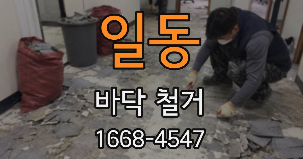 일동 바닥 철거