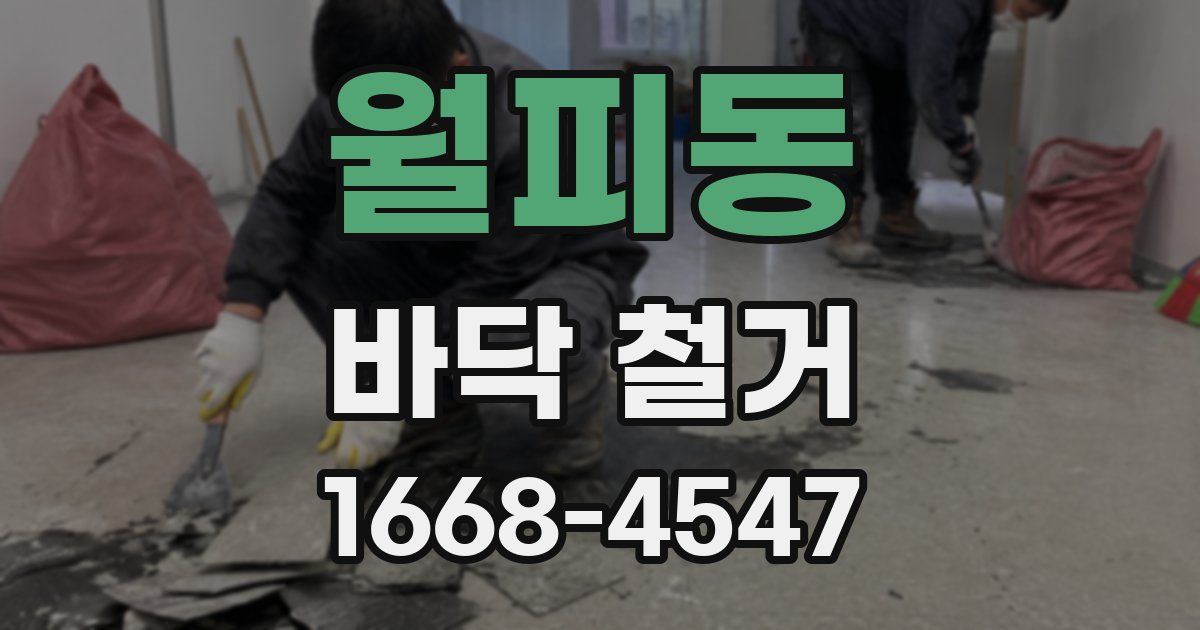 월피동 바닥 철거