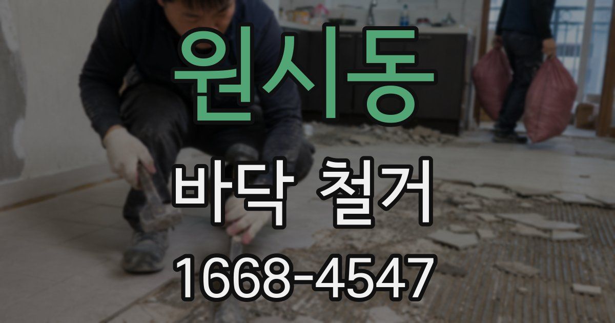 원시동 바닥 철거