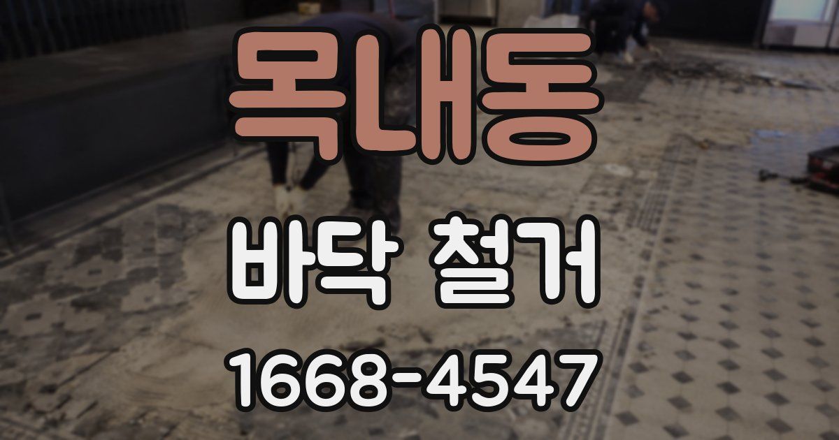 목내동 바닥 철거